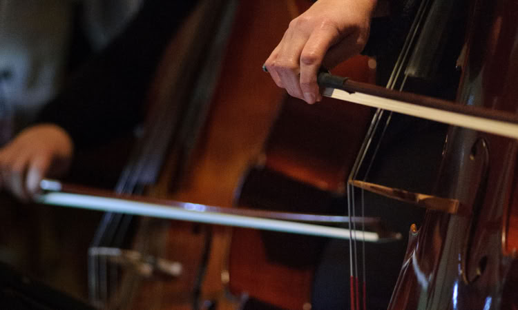 La Fosse Ô Lyon ; orchestre amateur Lyon ; orchestre symphonique ; Orchestre Lyon ; concerts gratuits