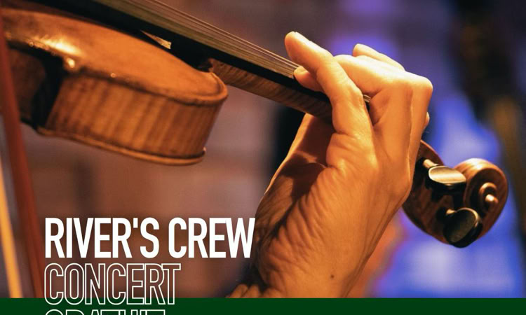 Lark Ascending ; La Fosse Ô Lyon ; orchestre amateur lyon ; orchestre symphonique ; Orchestre Lyon